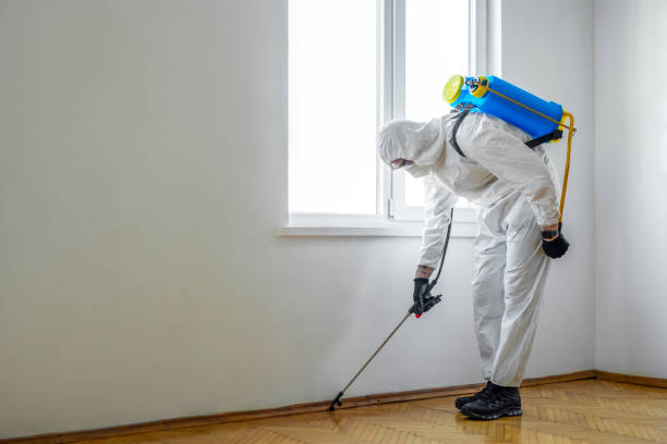 Best Pest Exclusion Services  in Hopewell, NJ